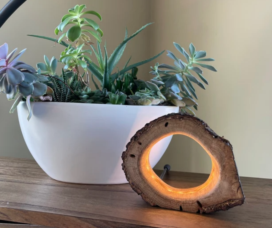 Aurora Rustic LED Log Lamp. Real wood